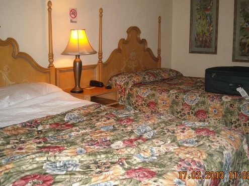 Motel Crown 2 motel crown