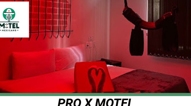 Pro X Motel 2 pro x motel